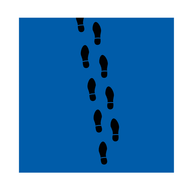 Fußbodenbelag 1000g/m² - Printdino