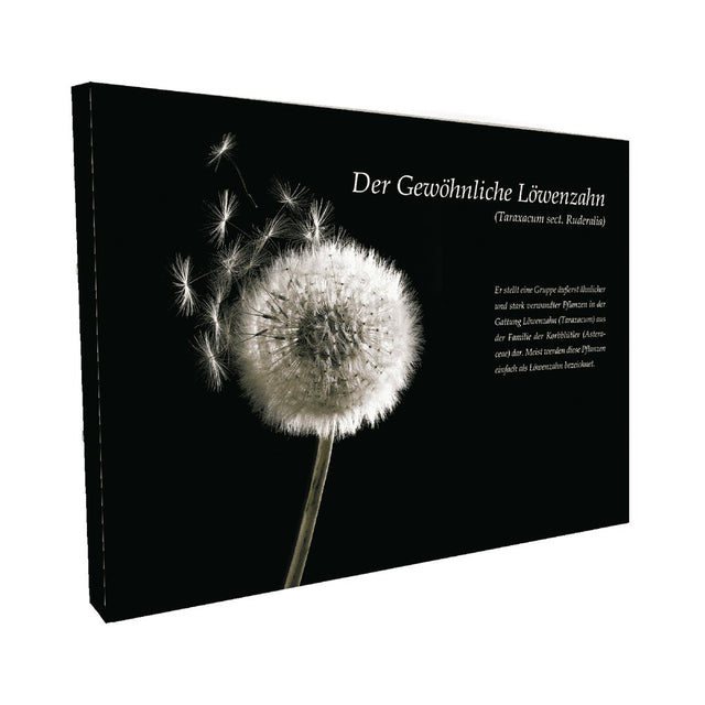 Messewand BOOGIE WOOGIE - Printdino